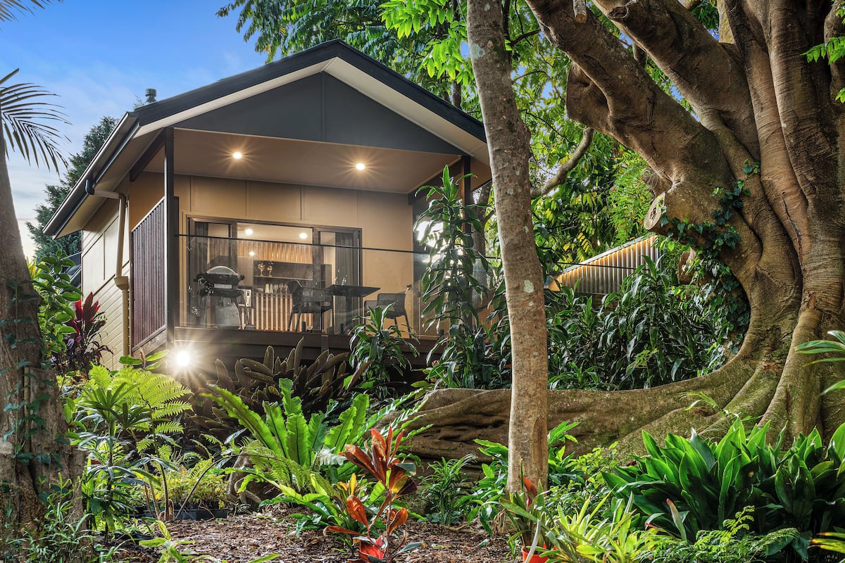 A modern house with a covered porch, surrounded by lush tropical vegetation.