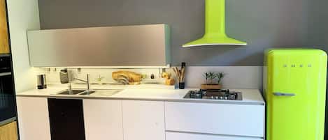 Fridge, oven, stovetop, dishwasher