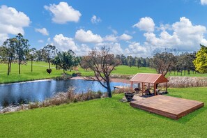 Property grounds - Orange cottage in Lovedale (Lovedale)