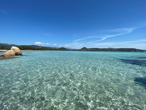 ビーチの近く、サンラウンジャー