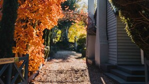 A pathway leading to a house with a sign reading "Liftington Cottage."