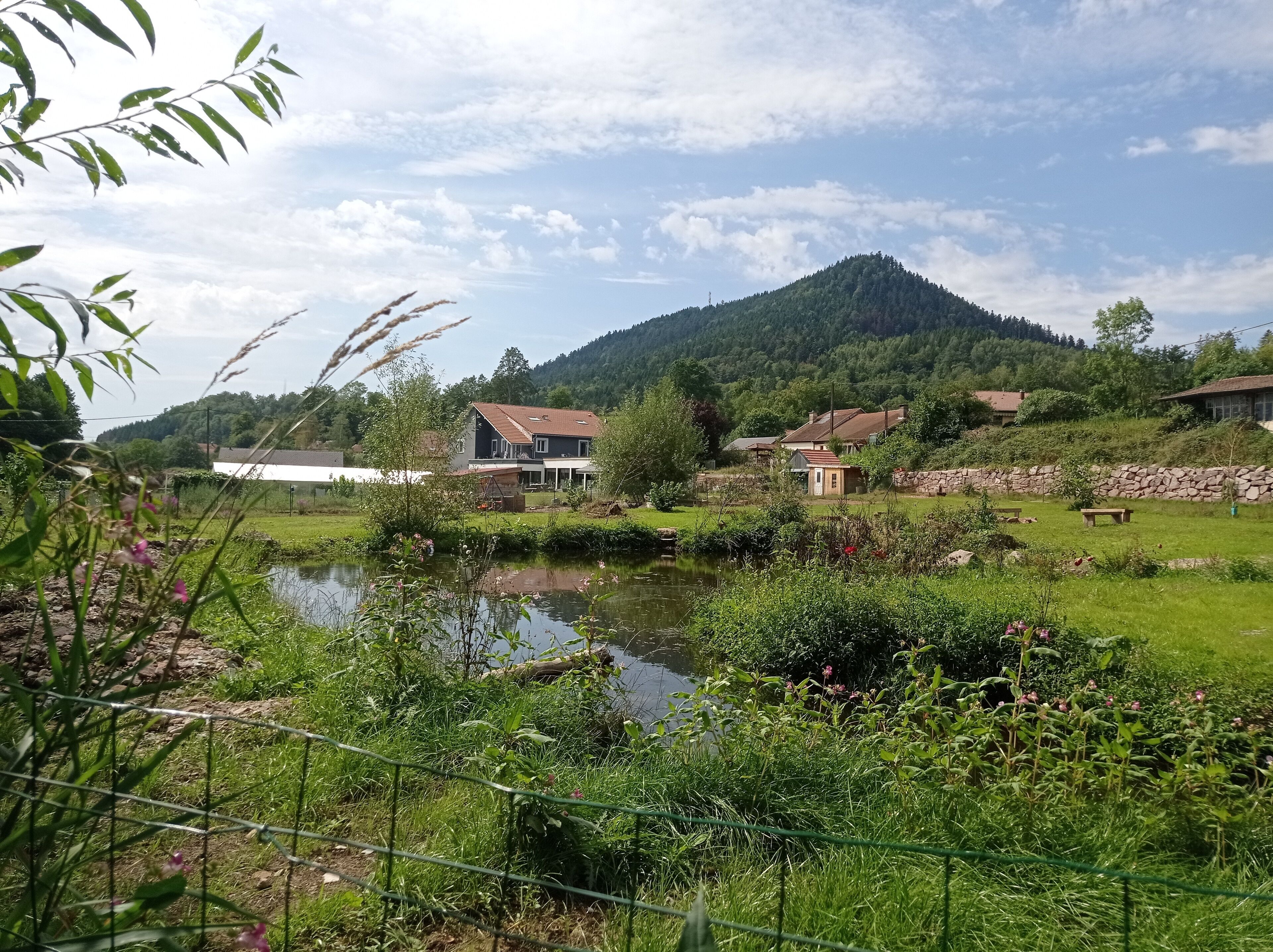 Un paisaje rural con un estanque, casas y una montaña al fondo.