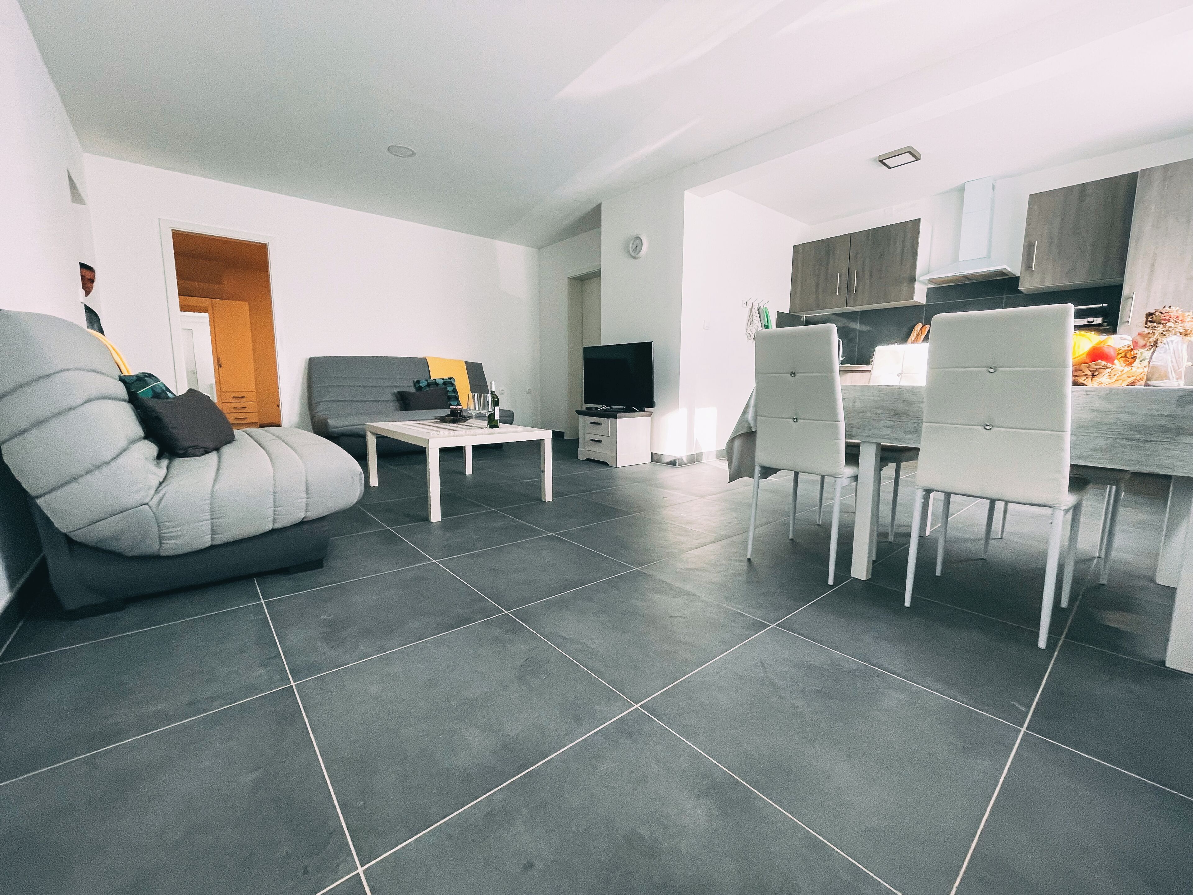A modern living room with a grey sofa, a dining table with chairs, a TV, and a kitchen area with cabinets and a countertop.