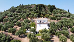 Une villa blanche située sur une colline, entourée d’oliviers.