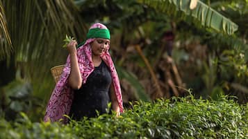 A person in a black dress and pink patterned shawl walking through a lush, green environment with dense foliage and a palm tree in the background.
