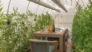 Une serre où est dressée une table pour le dîner, entourée d’une végétation luxuriante.