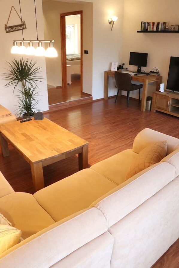 Älytelevisio, DVD-soitin, kirjoja, videokirjasto