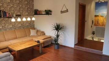 Smart TV, DVD player, books, video library