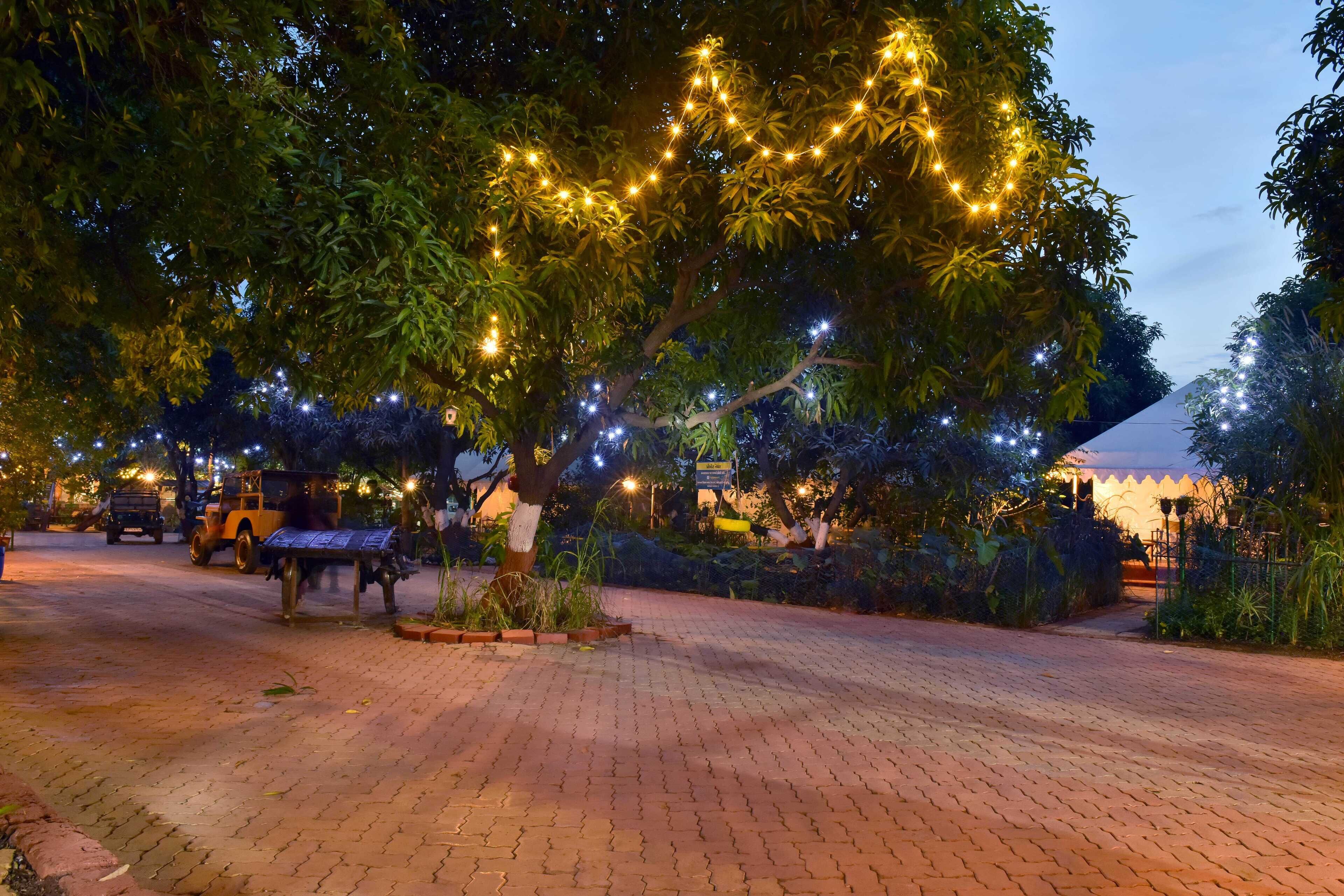 Luxury Tent | Garden view