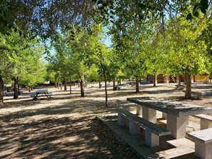 An outdoor area with picnic tables and trees providing shade.