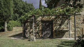 A stone building with a wooden pergola covered in vines, a stone door, and a stone bench in front. - Orcia Panoramic View With Pool (Sarteano)