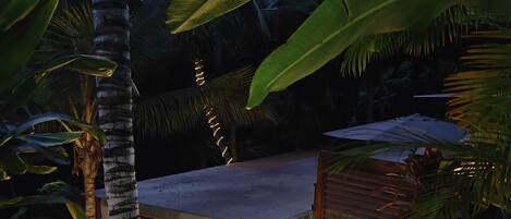 A tropical garden with a wooden structure, surrounded by lush greenery and palm trees.