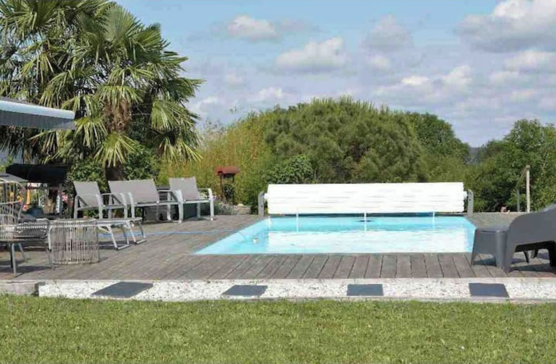 A swimming pool with a wooden deck, lounge chairs, and a palm tree.