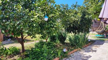 Apartment | Property grounds