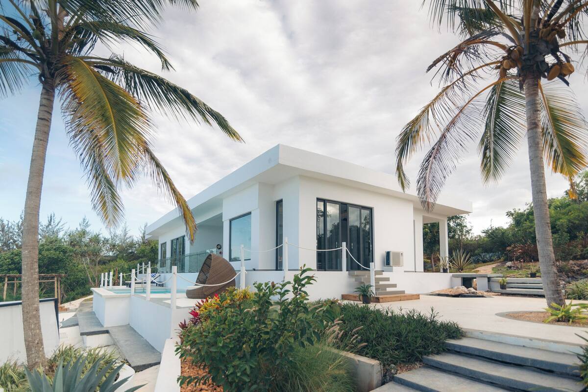 A modern house with a pool, surrounded by palm trees and plants.