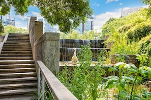 Basic Apartment, 2 Double Beds | Point of interest