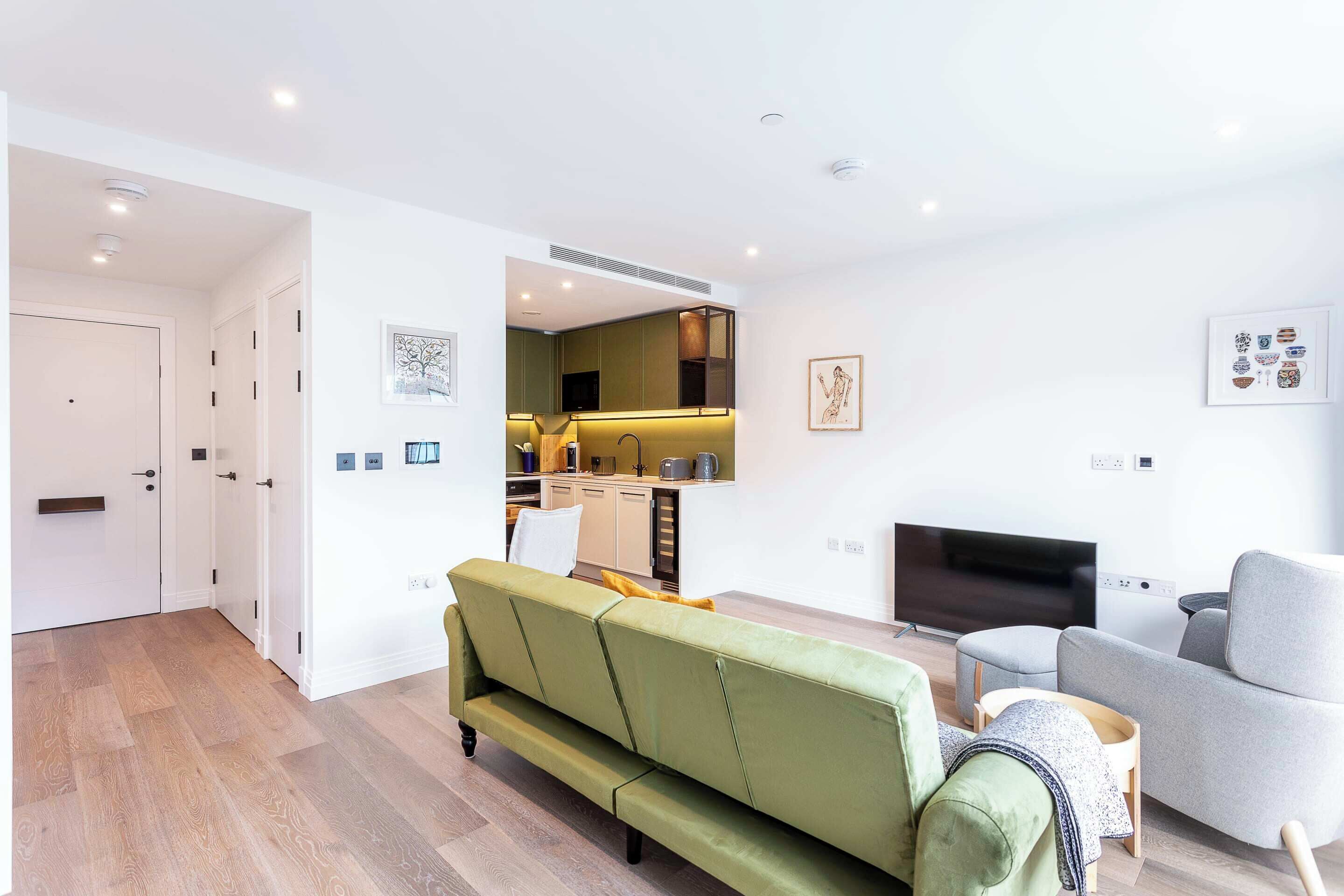 Basic Apartment, 1 King Bed | Living area | TV