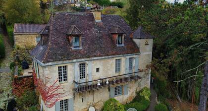 Vue Dordogne et chĂąteau