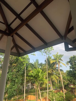 Property grounds - 4 bedroom bed & breakfast in midigama (Midigama)