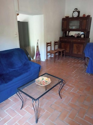 TV, fireplace, DVD player, books
