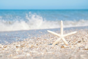 On the beach, sun-loungers, beach towels