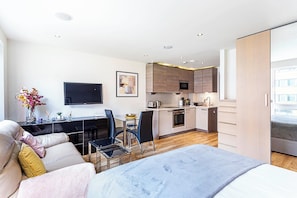 Basic Apartment, 1 King Bed with Sofa bed