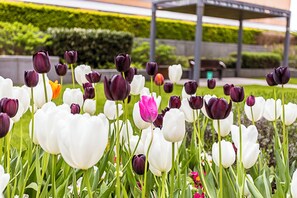 Basic Apartment, 1 King Bed with Sofa bed | Point of interest - Beautiful, Central Studio in Chelsea (London)