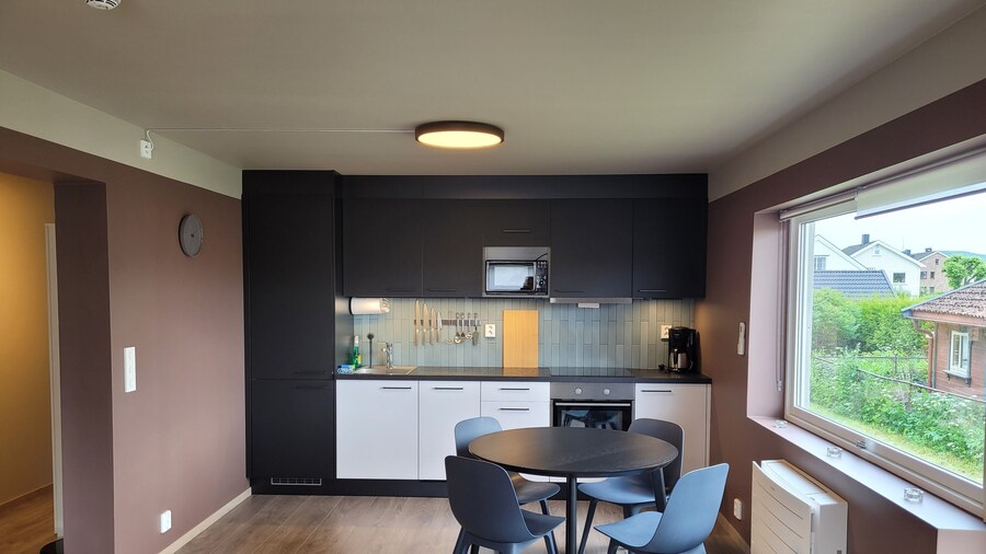 Telemark Apartments