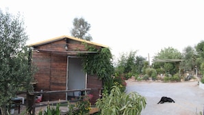 Eine rustikale Holzhütte mit einer kleinen Veranda, umgeben von üppigem Grün und einer gepflasterten Fläche, auf der ein Hund liegt.