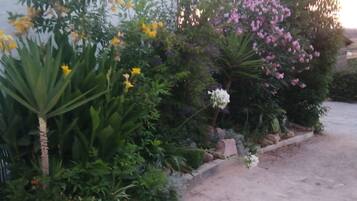 Un jardín con diversas plantas y flores, un camino y un edificio al fondo.