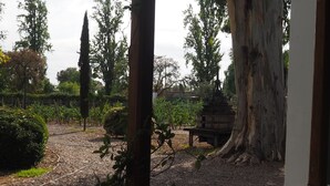 A garden with a pathway, a wooden bench, and a gazebo. - Villa Victoria Lodge (Maipu)