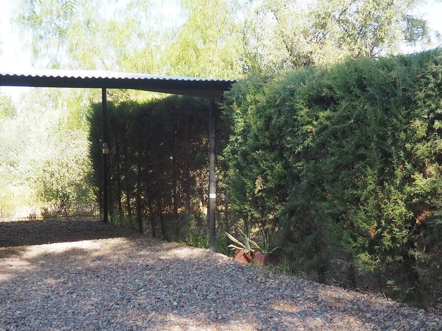 Un espace extérieur abrité, doté d’un sol en gravier et entouré d’une végétation luxuriante et d’arbres.