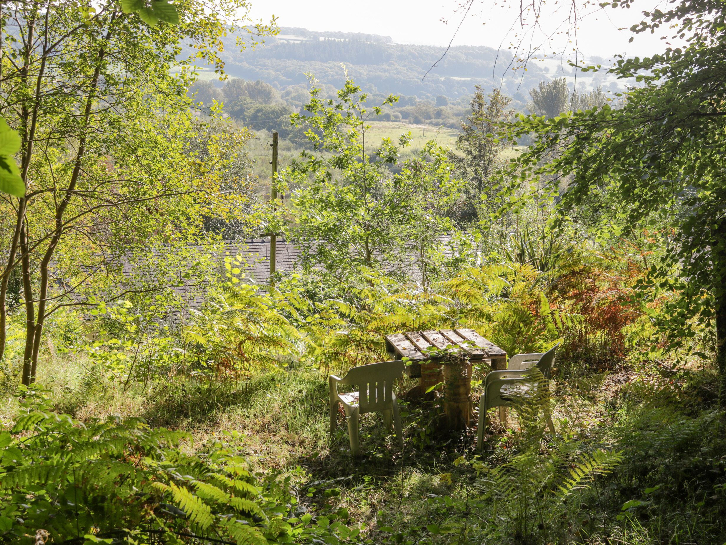 A rustic wooden bench in a lush garden with a view of a distant field and hills.