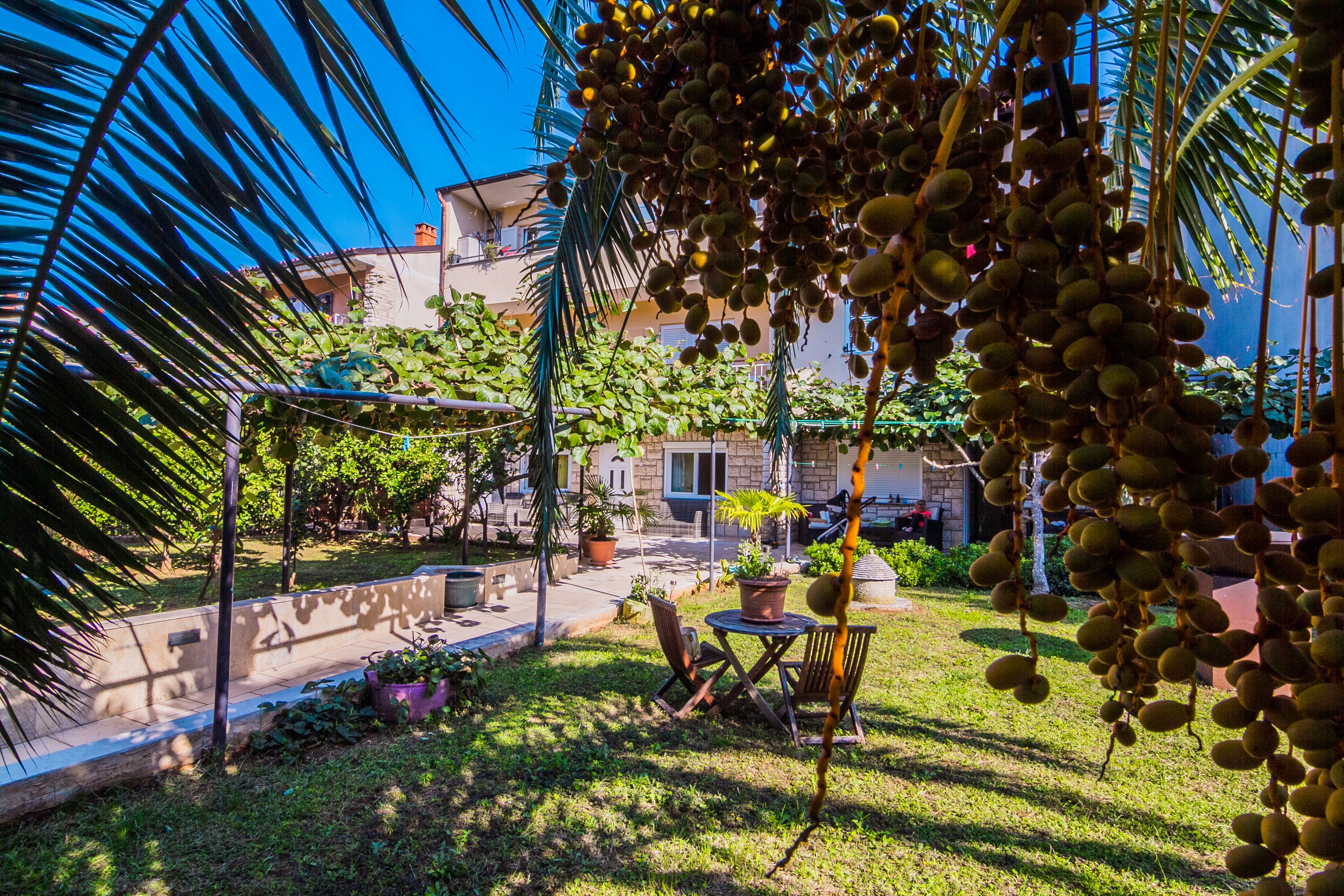 Un patio con zona de estar, plantas en macetas y fruta colgante.