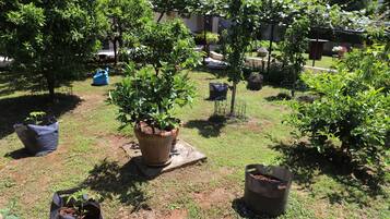 Blick auf den Garten