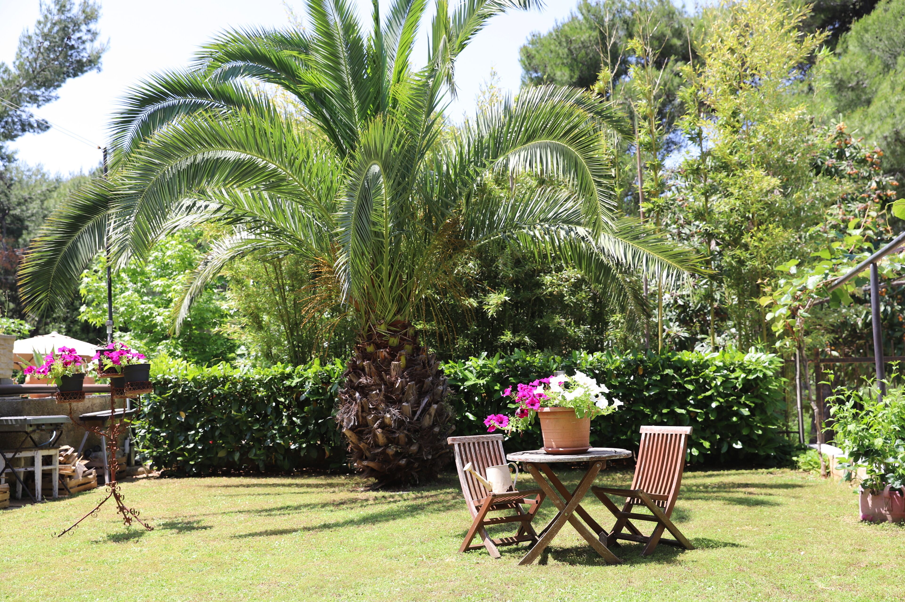 Apartment, Gartenblick | Blick auf den Innenhof