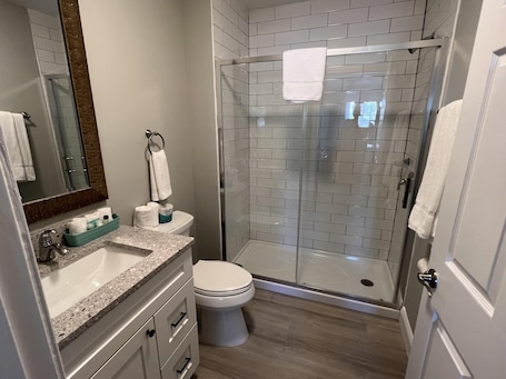 Combined shower/bathtub, hair dryer. Lakeview Superior One-Bedroom Suite