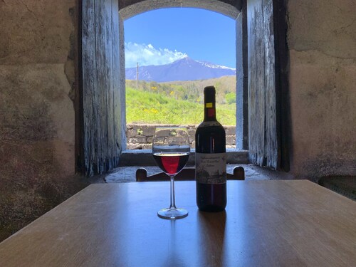 Etna Kiwi Estate