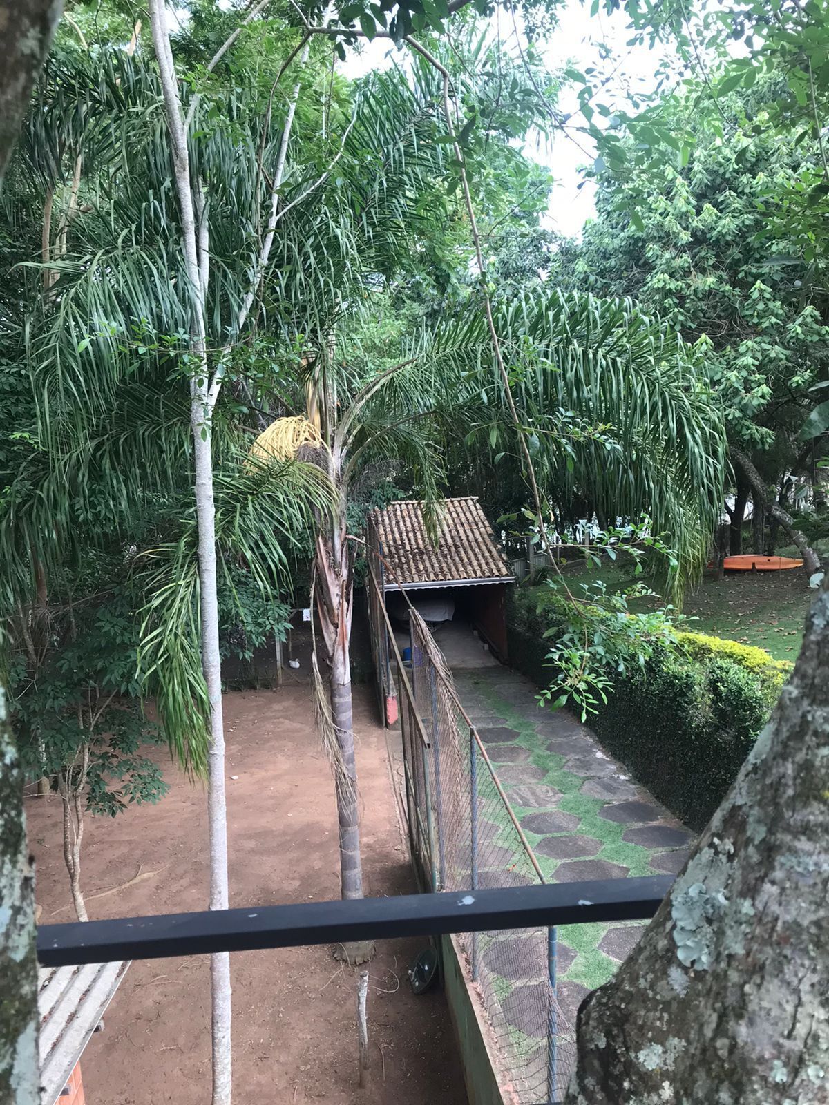 Uma ponte de madeira rústica em um jardim exuberante, com vegetação densa e um caminho de terra.