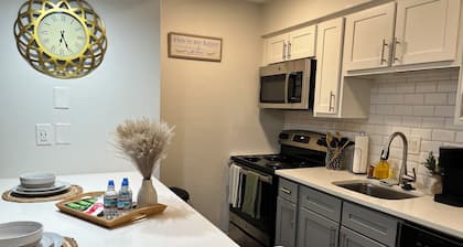 Newly renovated cozy apartment near Midcity!