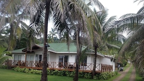 A bungalow with a green roof, surrounded by lush greenery and palm trees. - Playa Tranquilo B&B  (San Andrés)