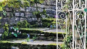 Un escalier en pierre, envahi de mousse et agrémenté de petites fleurs, mène à un portail en métal blanc.