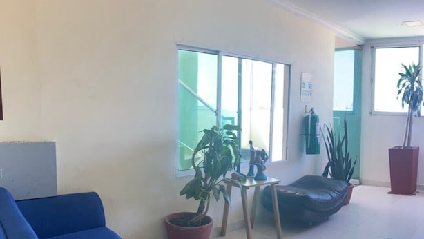 Una habitación amplia con un sofá azul, una mesita y dos plantas en macetas.