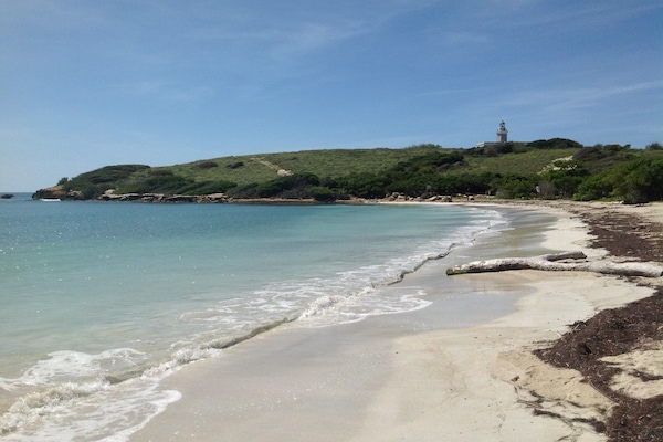 Chaises longues, serviettes de plage