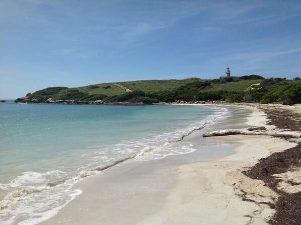 Chaises longues, serviettes de plage