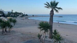 Ein Strand mit Palmen und blauem Himmel.