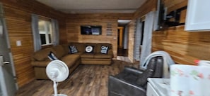 Smart-TV, Kamin