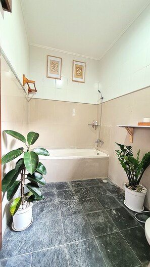 Sèche-cheveux, bidet, serviettes fournies, savon