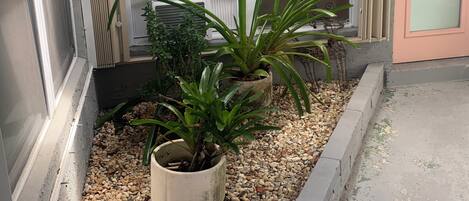 Détail de l’extérieur