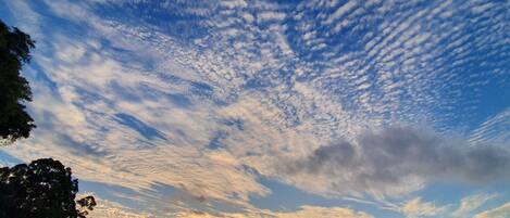 Vista frontal de la propiedad